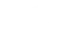 dtorres